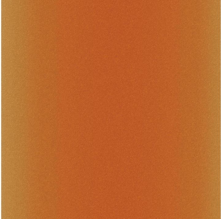 Actual product image Cricut Iron-on film Infusible Ink Leopard 30.5 x 30.5 cm, 4 pieces