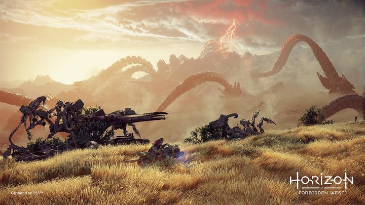 Actual product image Sony Horizon Forbidden West Collectors Edition (PS5, PS4, EN)
