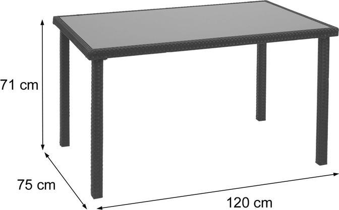Actual product image Swisshandel24 Poly Rattan Table, Garden Table Balcony Table, 120x75cm - black (120 cm)