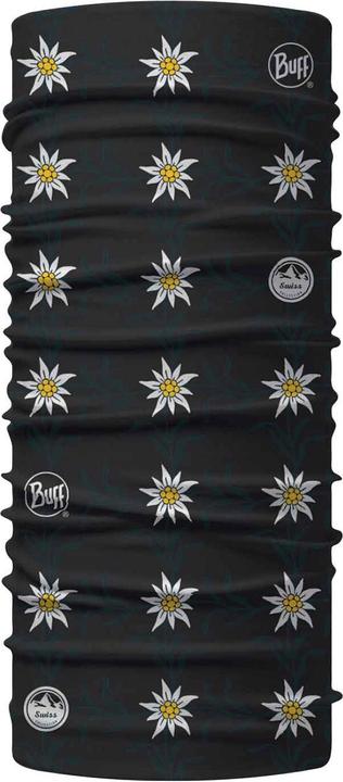 Buff Edelweiss