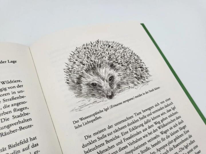 Image du produit Die unglaubliche Kraft der Natur (Allemand, Madlen Chèvre, 2023)