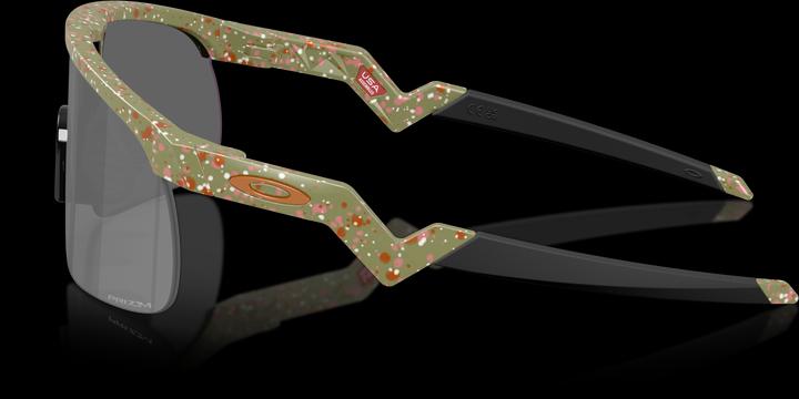 Immagine prodotto Oakley Resistor (FERRO TERRAZZO)