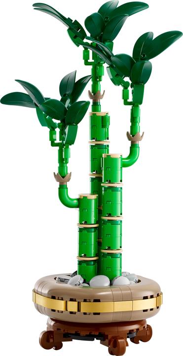 Produktbild LEGO Glücks-Bambus (10344, LEGO Icons)