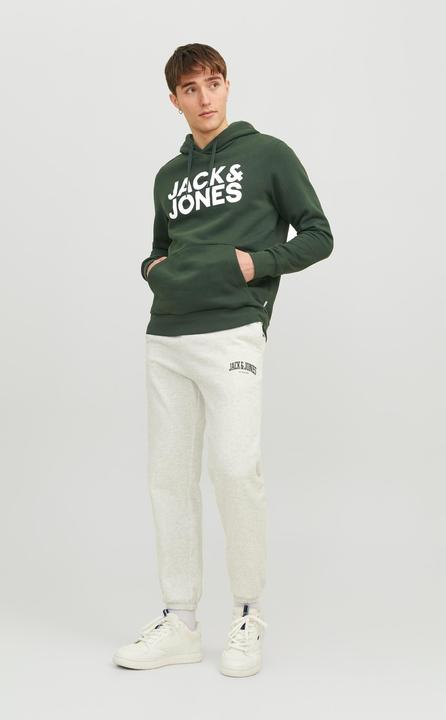 Image du produit Jack & Jones Logo Hoodie (L)