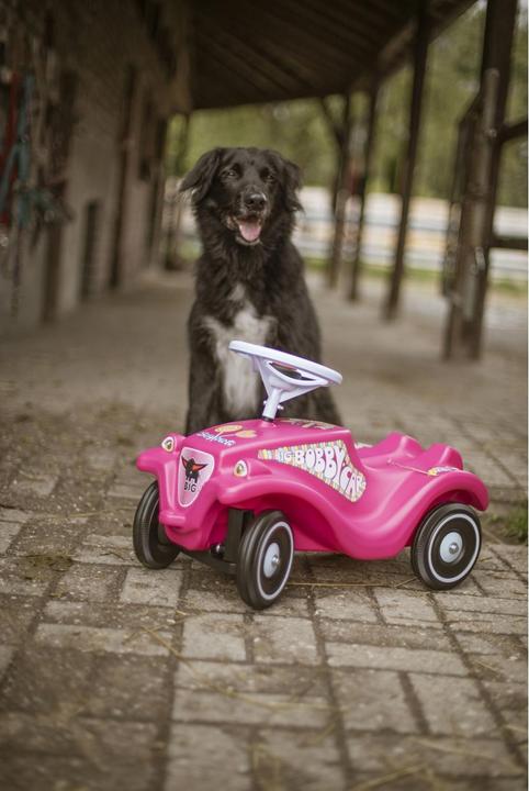 Image du produit BIG Bobby Car