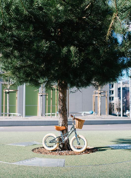 Produktbild Siech Cycles Kids Bike (12")