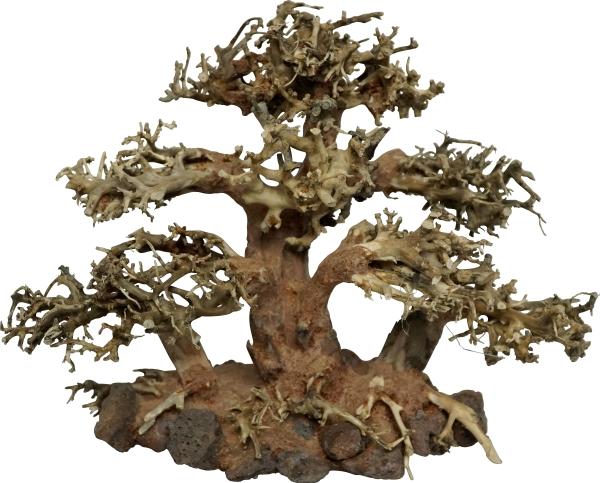 Actual product image 4fish Traerødder, Tree Island, 20x10x15 cm (Embellishment, other items)