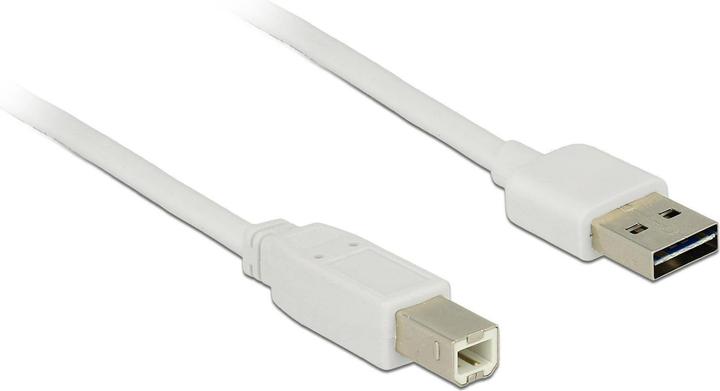 Actual product image Delock USB2.0 cable Easy A-B: 1m, white (1 m, USB 2.0)