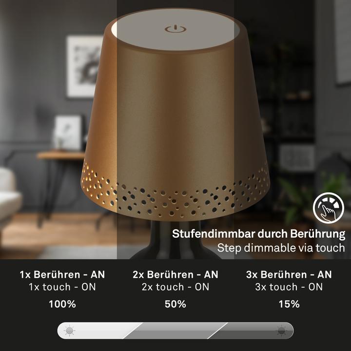 Image du produit Briloner Lampe-bouteille rechargeable (280 lm)