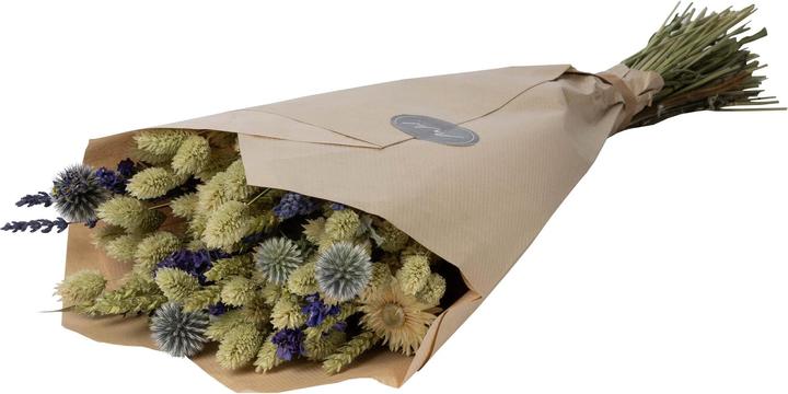 Anjel Viola (Dried flowers)