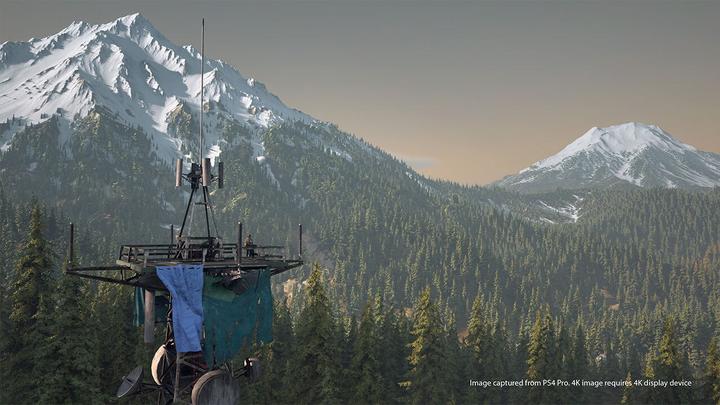 Produktbild Sony Days Gone (PS4, EN, IT)