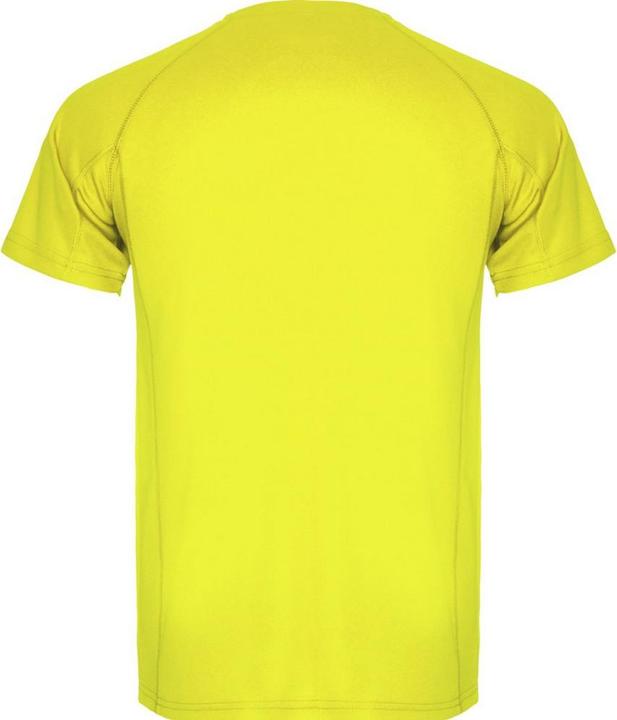 Actual product image Alpinia Mens Montecarlo Short-Sleeved Sports T-Shirt (L)