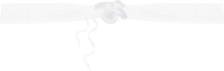 Immagine prodotto Partydeco Accessori per feste Decorazione auto Organza 1,8 m, 2 pezzi, bianco