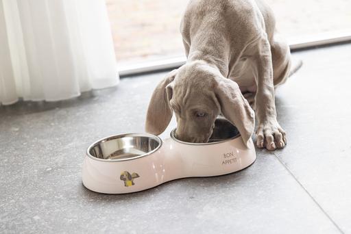 Image du produit Beeztees Gamelle pour chiots Binky (0.16 l)