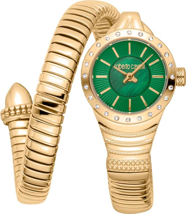 Immagine prodotto Roberto Cavalli Lady - RC5L114M0035 (22 mm)