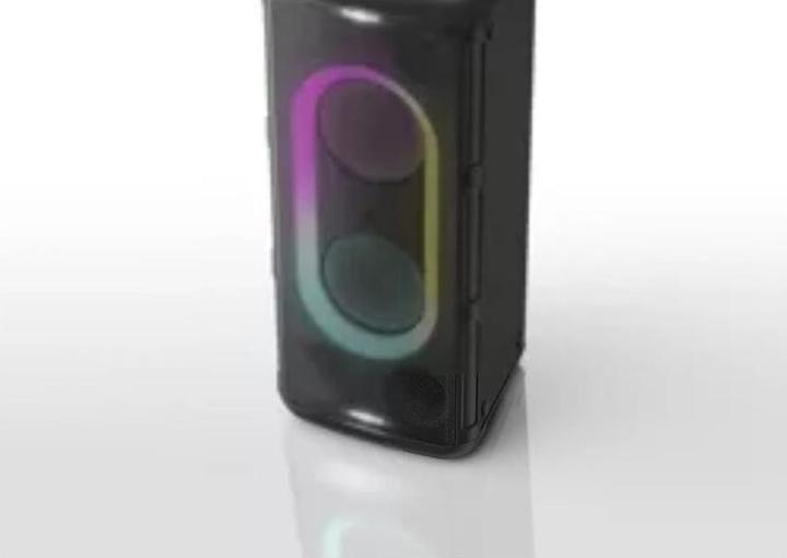 Actual product image Panasonic Speaker SC-TMAX45E-K (Electrical connection)