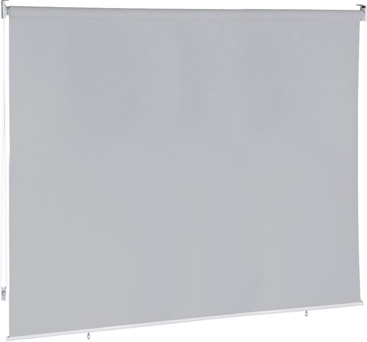 Grigio