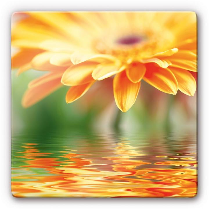 Image du produit Trenddeko Reflet gerbera (30 x 30 cm)