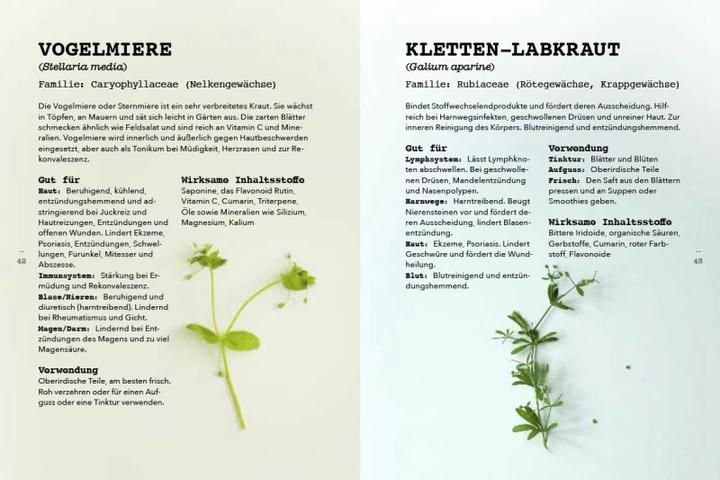 Produktbild Pflanzen als Medizin (Deutsch, Leoniek Bontje, 2022)