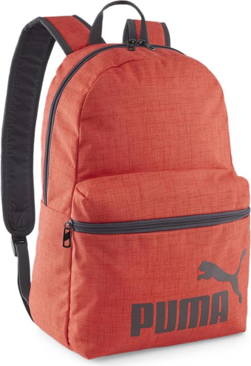 Actual product image Puma Phase Backpack III (25 l)