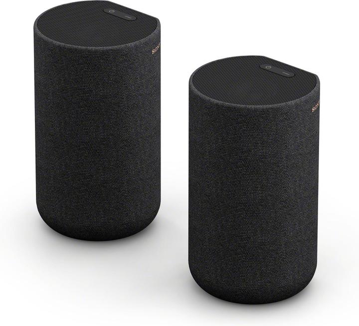 Sony SA-RS5 (1 coppia, 180 W)
