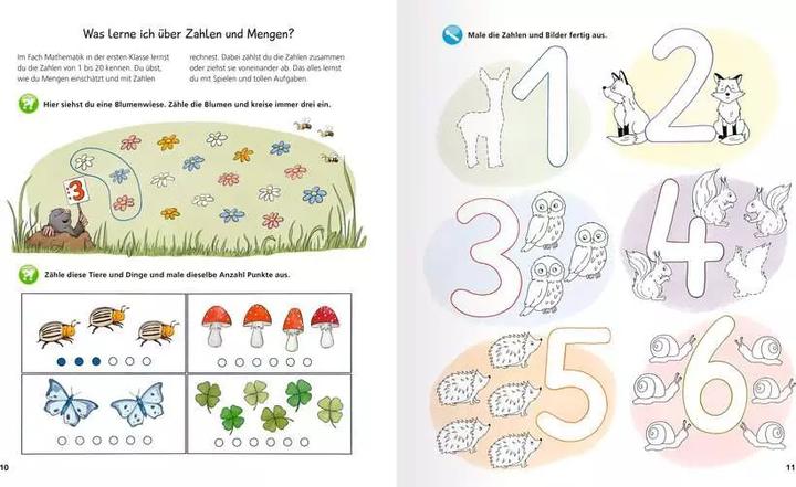 Actual product image Ravensburger Wieso? Weshalb? Warum? aktiv-Heft: Schule (German, Rebecca Mönch, 2025)