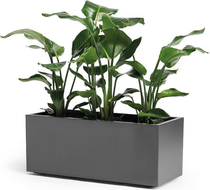 Produktbild Euro3plast Greener Kebe (39.50 cm)