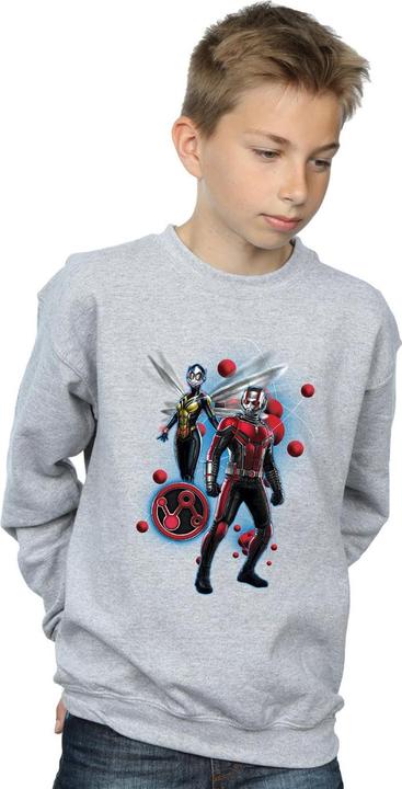 Image du produit Sweat Garçons Ant-Man And The Wasp Particle Pose (128)
