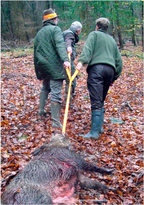 Produktbild Eurohunt Dreizug Wildbergehilfe