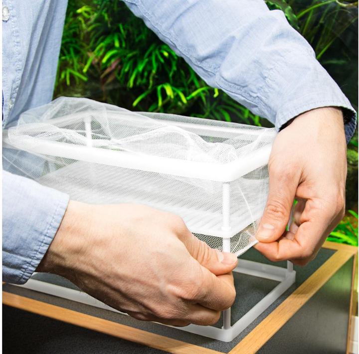 Actual product image Hobby Spawning tank Nido 3.1 XL, 25 x 15 x 14.5 cm