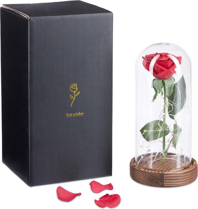 Immagine prodotto Relaxdays Rosa eterna (11 x 11 x 22 cm)