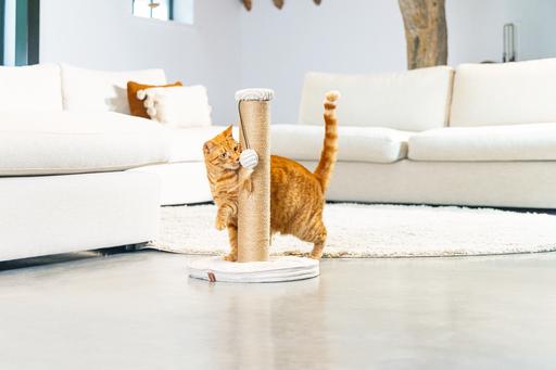 Actual product image Designed by Lotte Scratching post (50 cm, Light grey)