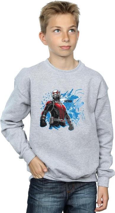 Produktbild Jungen AntMan Stehendes Sweatshirt (152, 158)