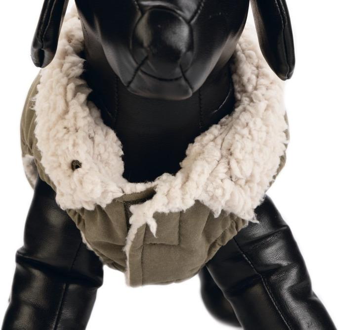 Actual product image Designed by Lotte Dog coat Philos (XXS, Dog coat)