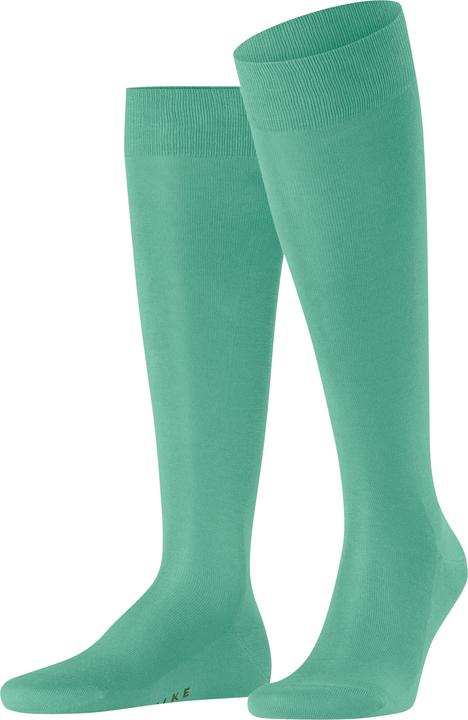 Oceangreen