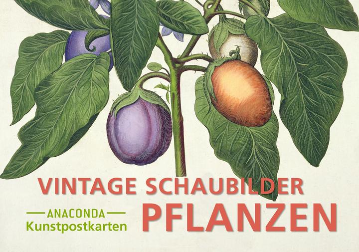 Immagine prodotto Set di cartoline vintage piante (20 pz.)