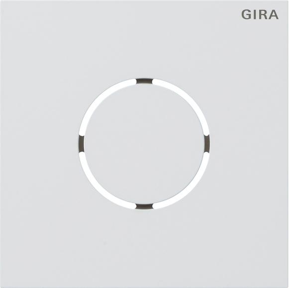 Actual product image Gira Front panel