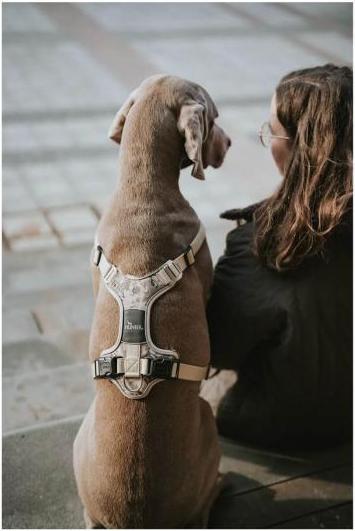 Immagine prodotto Hunter Pettorina mimetica Divo per cani Beige L-XL (Cane, Generale)