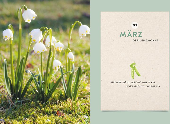 Actual product image My garden calendar 2025 (German)