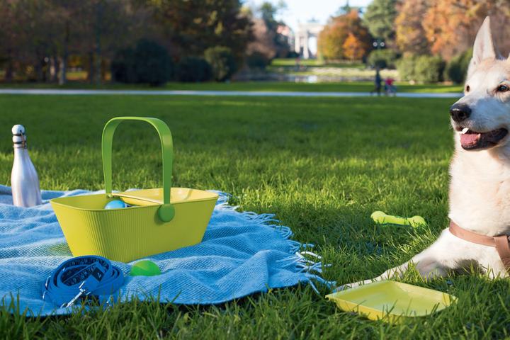 Produktbild Alessi PetNic