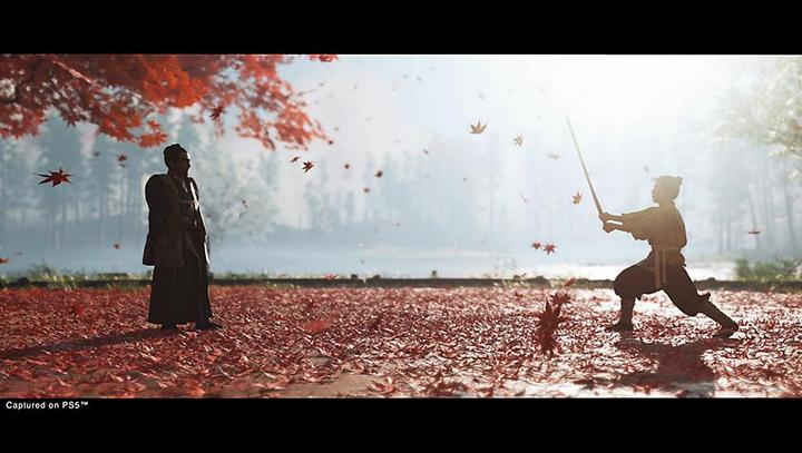 Image du produit Sony Ghost of Tsushima - Directors Cut (PS5, DE)