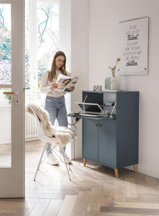 Actual product image Schildmeyer Series 500 (65.5 x 39 x 102 cm)