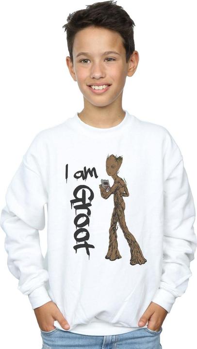 Actual product image Boys Avengers Infinity War Graffiti Groot Sweatshirt (152, 158)