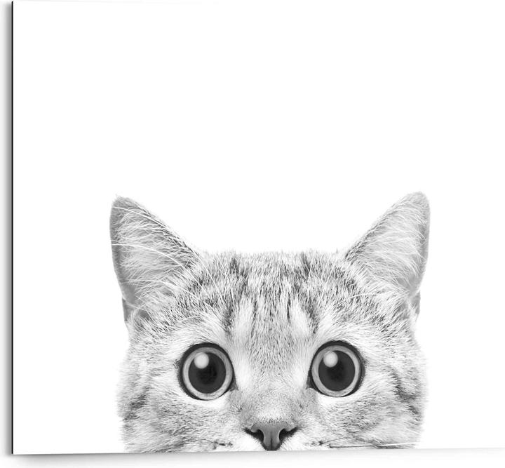 Produktbild Reinders Cat is watching (40 x 50 cm)