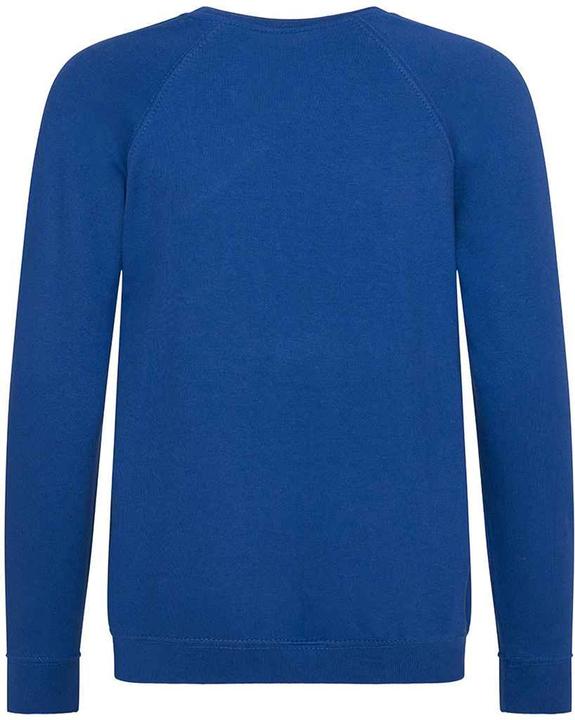 Actual product image Awdis Academy school sweatshirt round neck (104)