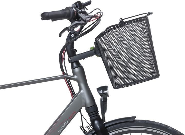 Actual product image Basil Bremen