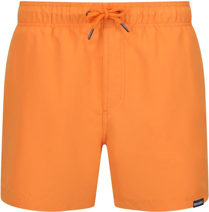 Actual product image Regatta Mens Mawson II Swim Shorts (XXL)
