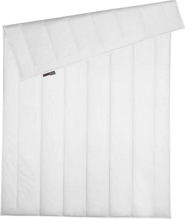 Produktbild Centa-Star Famous (440 g, 200 x 220 cm)