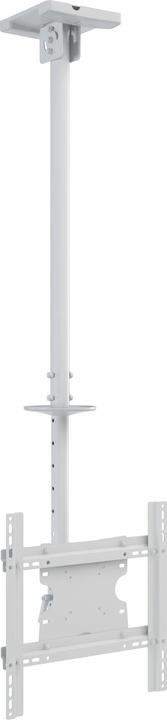 Multibrackets Deckenhalter 32" - 70", Metall, weiss, max 30 kg (Decke, 55", 30 kg)