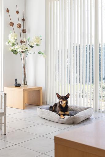 Image du produit Karlie Lit de repos Velvet (Chien)